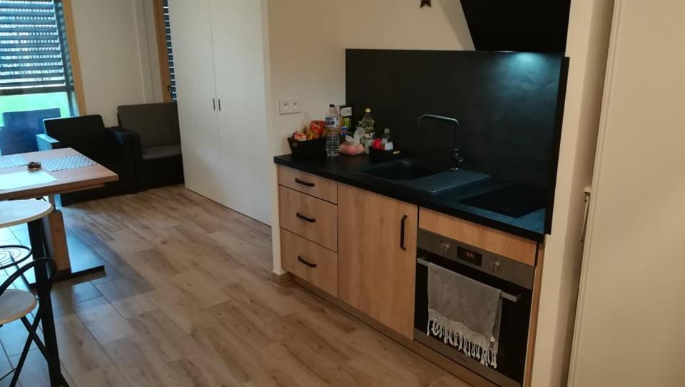 Au Jardin Des 2 Rives Apartment Strasbourg